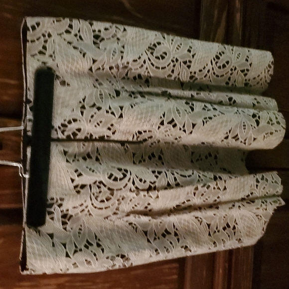 Gianni Bini High Waist Pleated Lace Skirt  Size 6 - Picture 2 of 5
